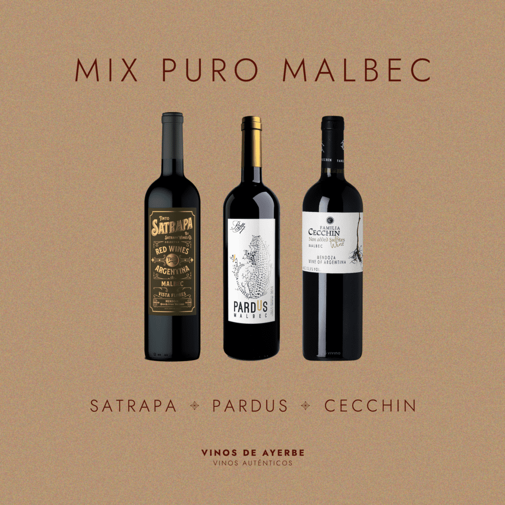 Mix Malbec Vinos De Ayerbe