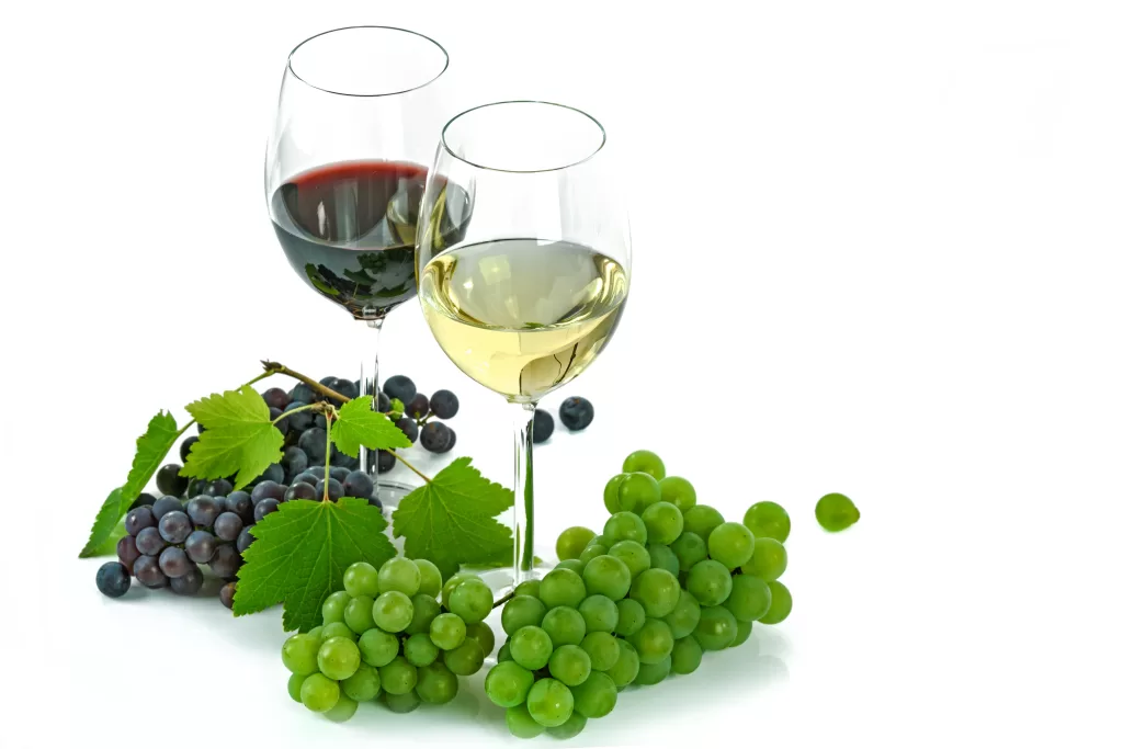 uvas y vinos