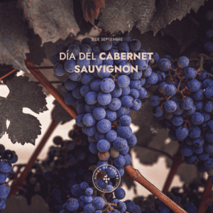 Cabernet Sauvignon uvas